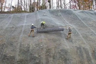 Rock Fall Protection