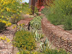 flowering plants and Landscaping Gabion wall