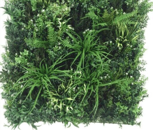 A close up of the plants on the wall