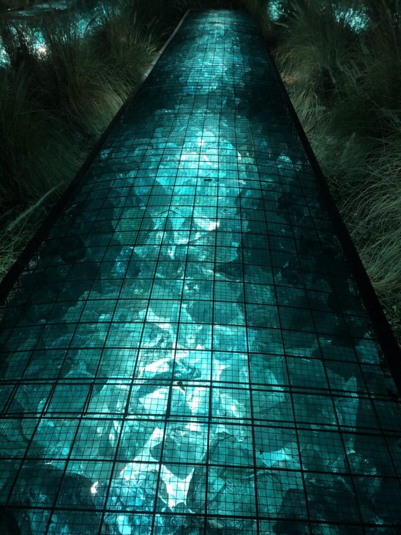 A view of the inside of a tunnel with a glass floor.