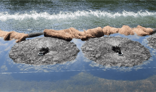 A couple of umbrellas floating in the water.