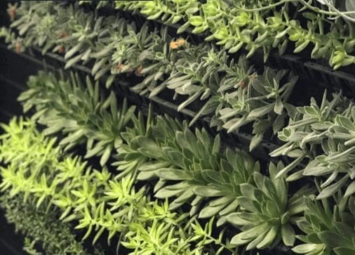 Sock-Rack-System-1-e1556050311609